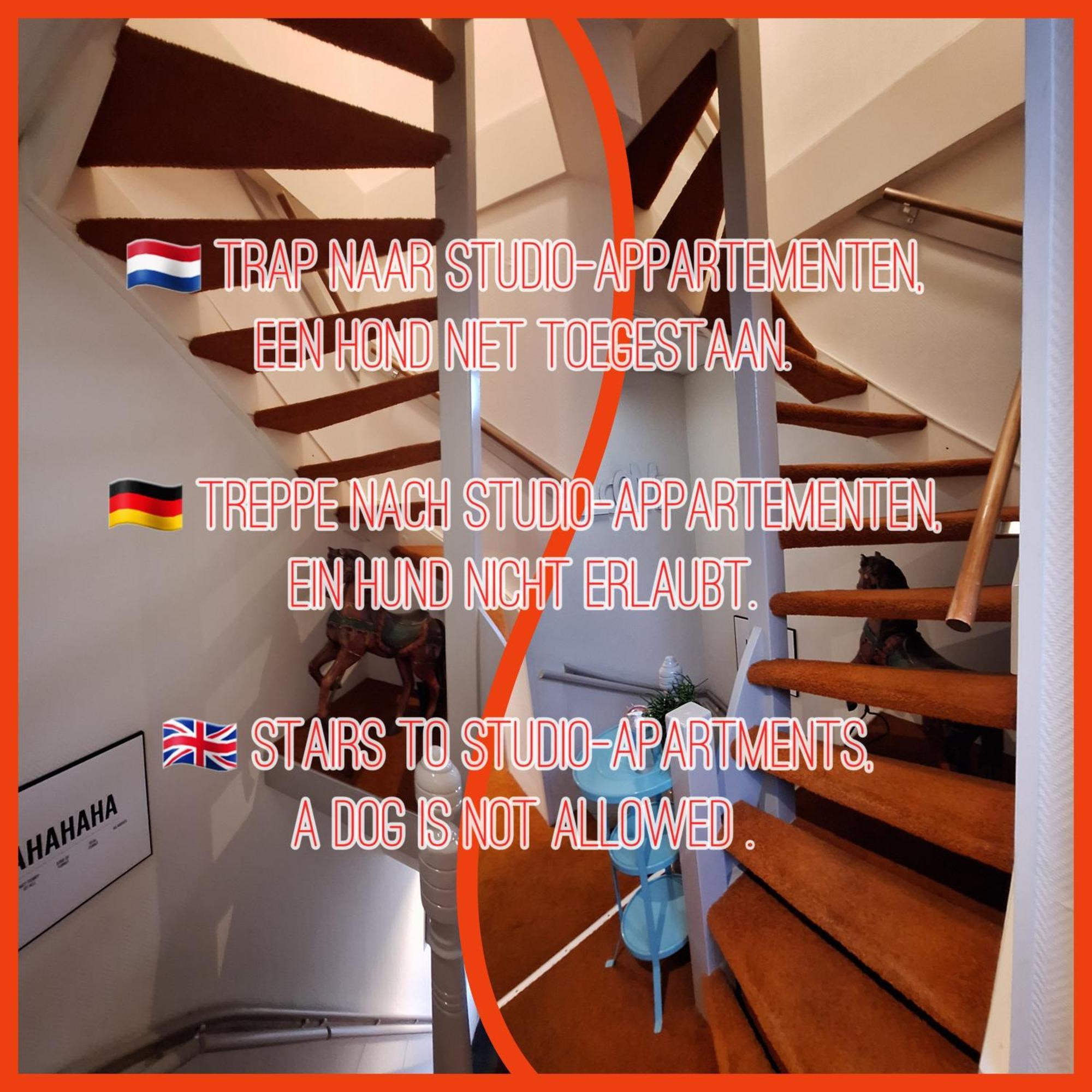 Prins Appartementen Egmond aan Zee Exterior foto